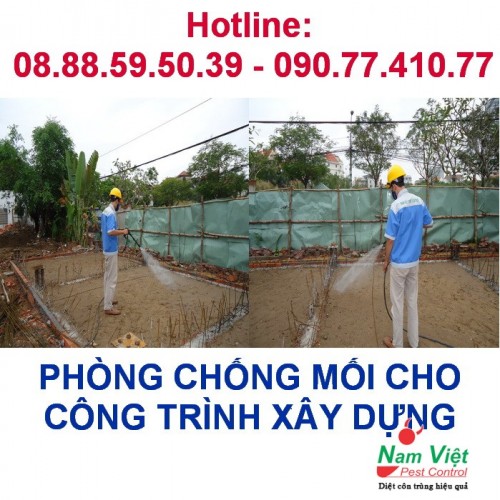 Dịch vụ phòng chống mối cho công trình tại Gò Vấp, Phú Nhuận, Thủ Đức ...