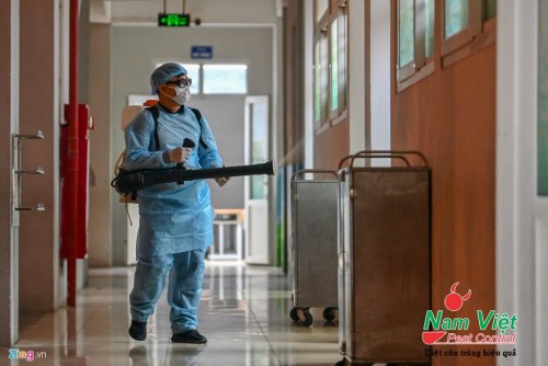 Dịch Vụ Diệt Mối Tại Quận 1
