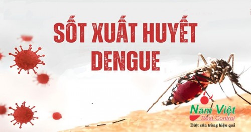 Cảnh báo dịch sốt xuất huyết, nhu cầu thuốc diệt muỗi tăng cao