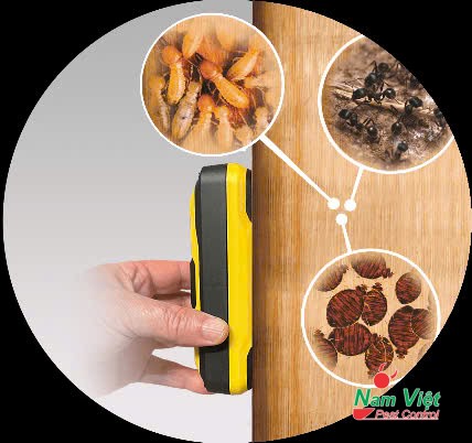 Diệt mối tận gốc bằng máy dò mối Termatrac itraker pro và bả sinh học