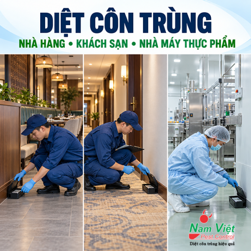 Diệt côn trùng nhà hàng, khách sạn, nhà máy thực phẩm