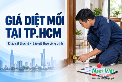 Giá diệt mối tại TP.HCM: báo giá phụ thuộc yếu tố nào?
