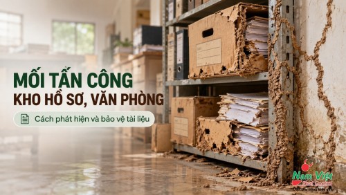 Mối tấn công kho hồ sơ, văn phòng: Cách phát hiện và bảo vệ tài liệu