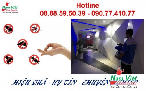 diet muoi gia re hcm