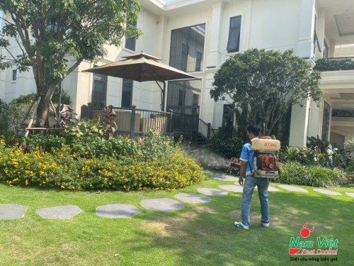 Dịch vụ phun diệt muỗi, diệt côn trùng, diệt kiến, diệt gián, diệt ruồi cho nhà ở, biệt thự, công ty tại TP Hồ Chí Minh