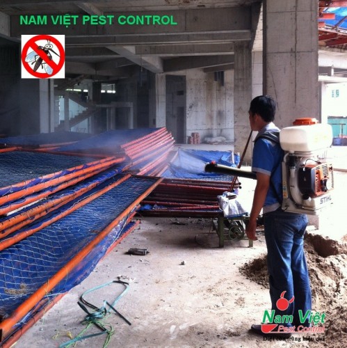 Phun diệt muỗi cho công trình xây dựng hiệu quả cao tại Tp Hồ Chí Minh