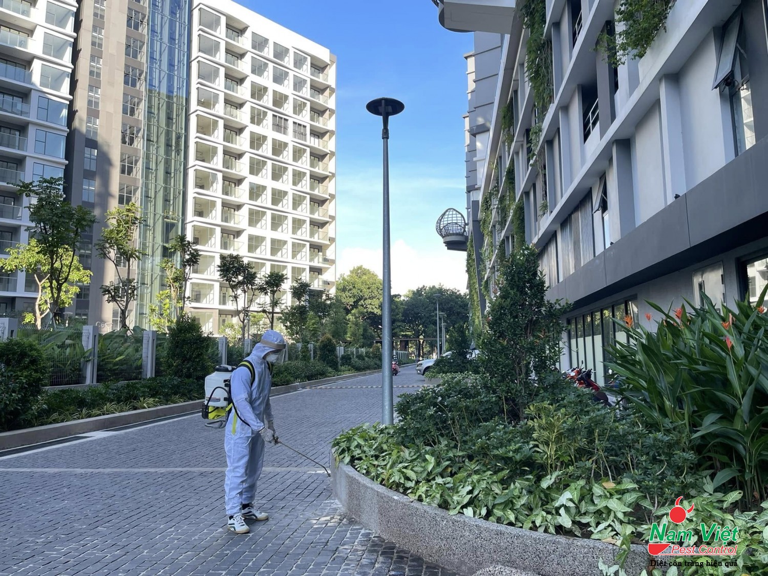 Dịch Vụ Phun Diệt Rệp Cho Khách Sạn Tại TP. Hồ Chí Minh