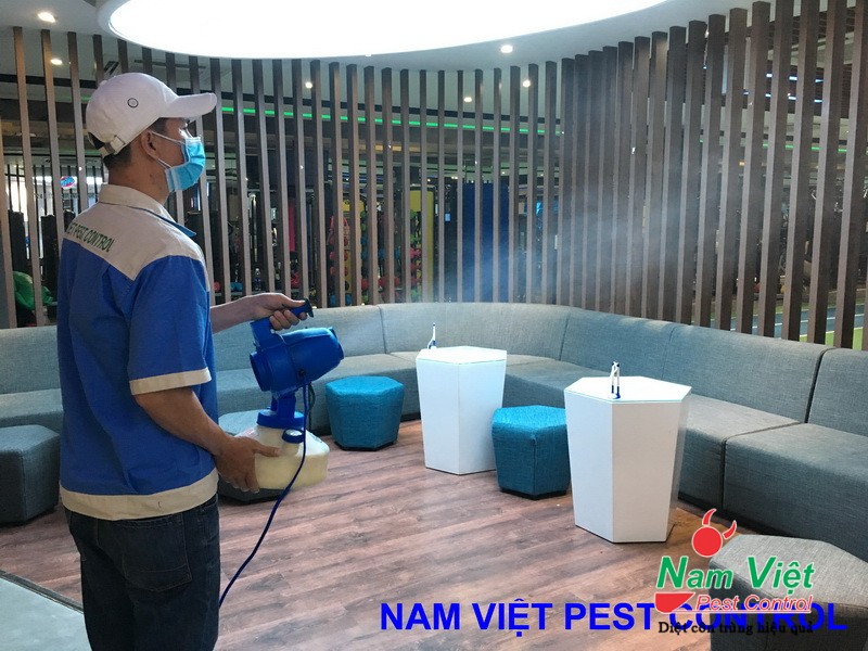Dịch vụ Phòng Chống Mối Cho Công Trình Tại Hồ Chí Minh