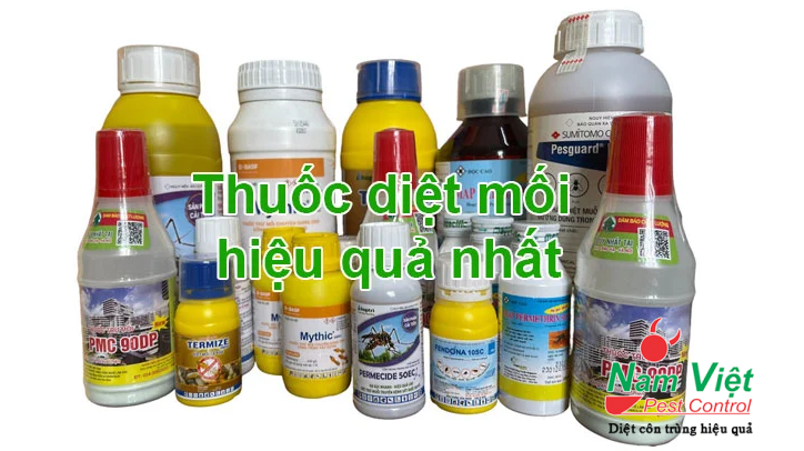 Top 4 Loại Thuốc Diệt Mối Hiệu Quả Nhất Hiện Nay