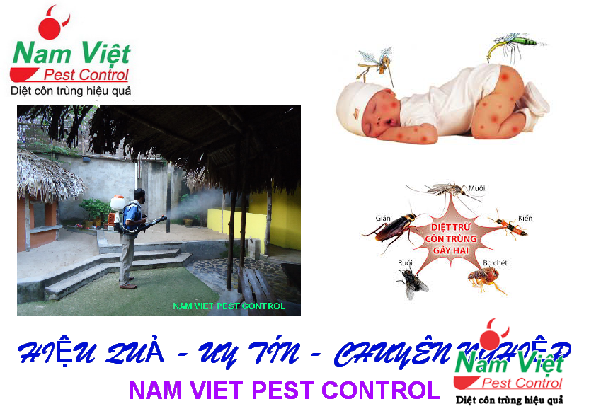 Dịch Vụ Phun Diệt Côn Trùng Giá Rẻ, An Toàn, Hiệu Quả