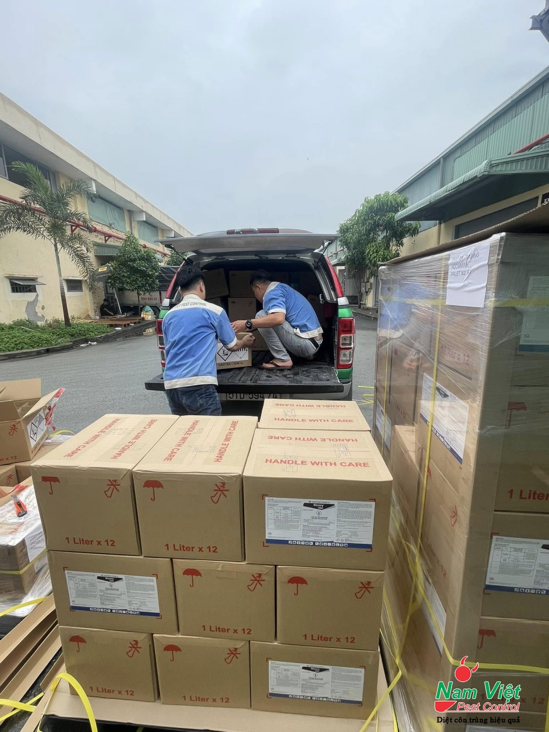 Dịch Vụ Diệt Mối Tại Quận 2