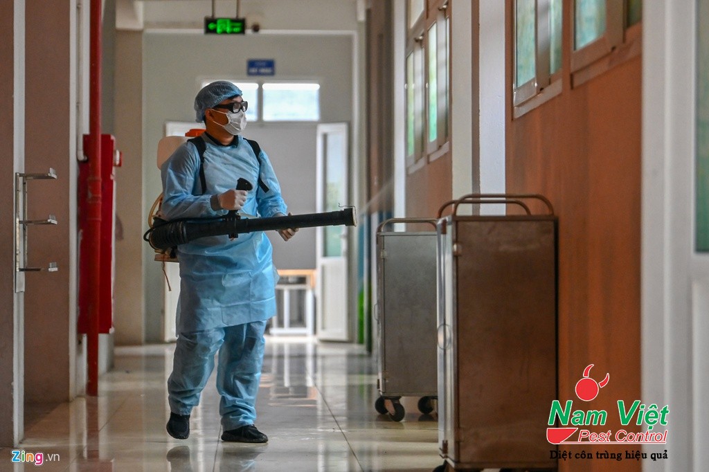 Dịch Vụ Diệt Mối Tại Quận 1