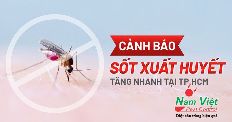 dich benh sot xuat huyet gia tang canh bao khan tu nganh y te
