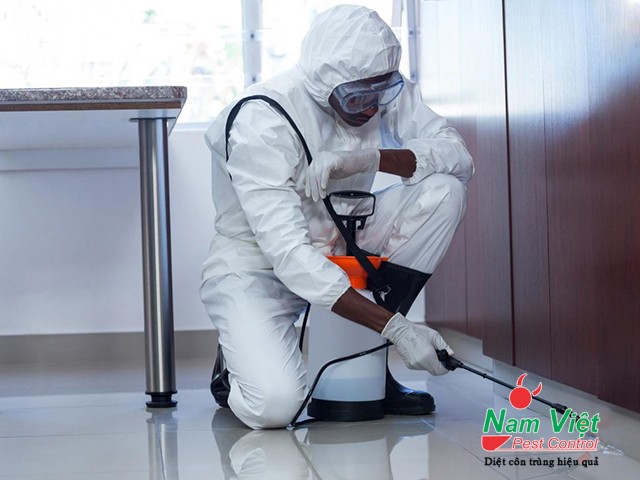 Dịch vụ diệt mối nhà ở