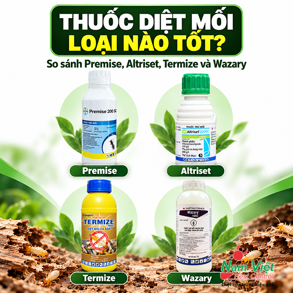 Thuốc diệt mối loại nào tốt? So sánh Premise, Altriset, Termize, Wazary